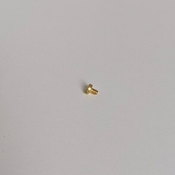 Replacement Screw for Charles Revson The Love Bracelet + Other Brands - Picture 6 of 8